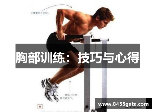胸部训练：技巧与心得